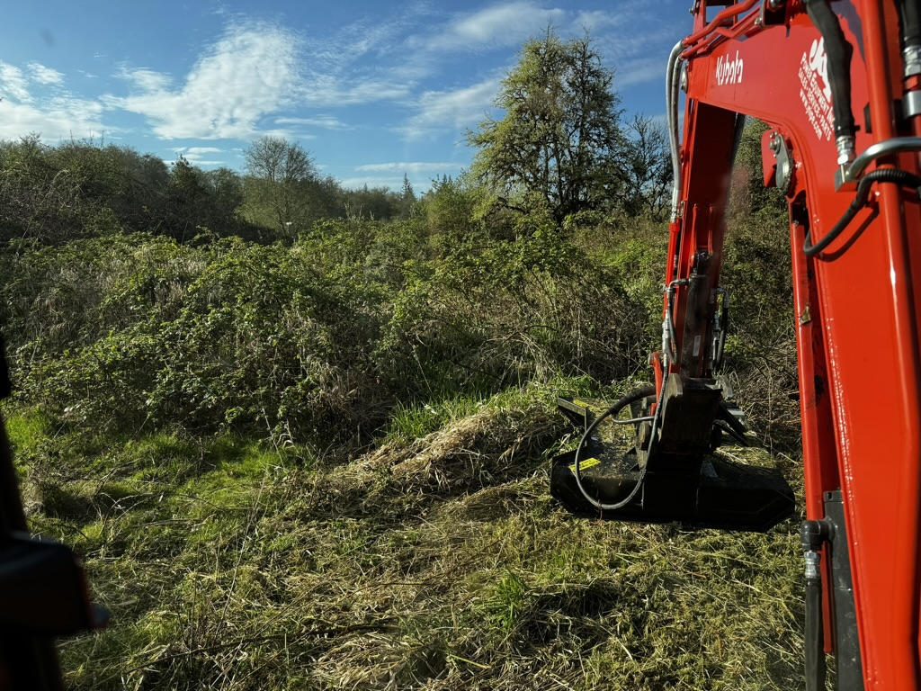 Brush Mowing project