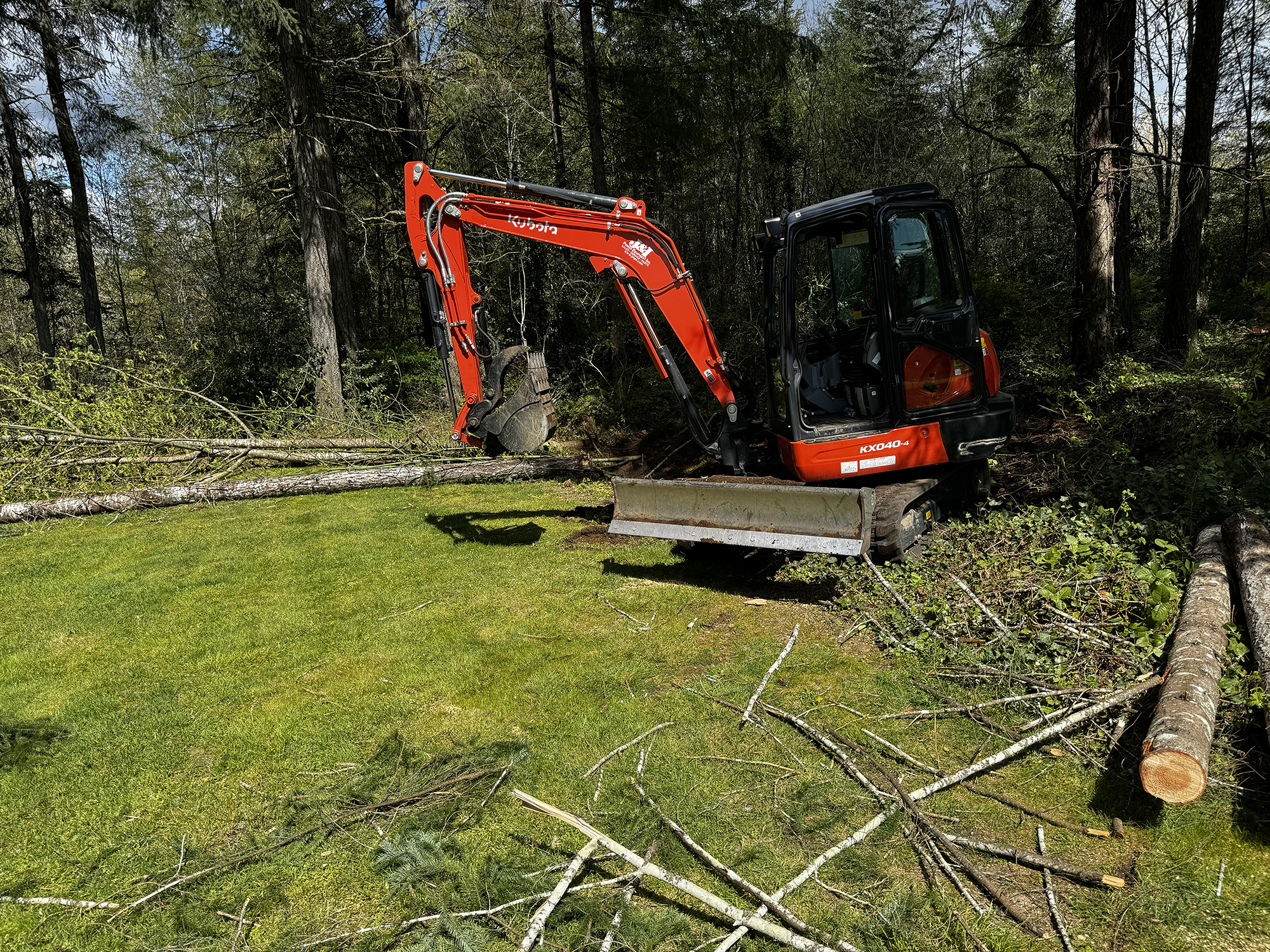 Machinery being used to remove trees