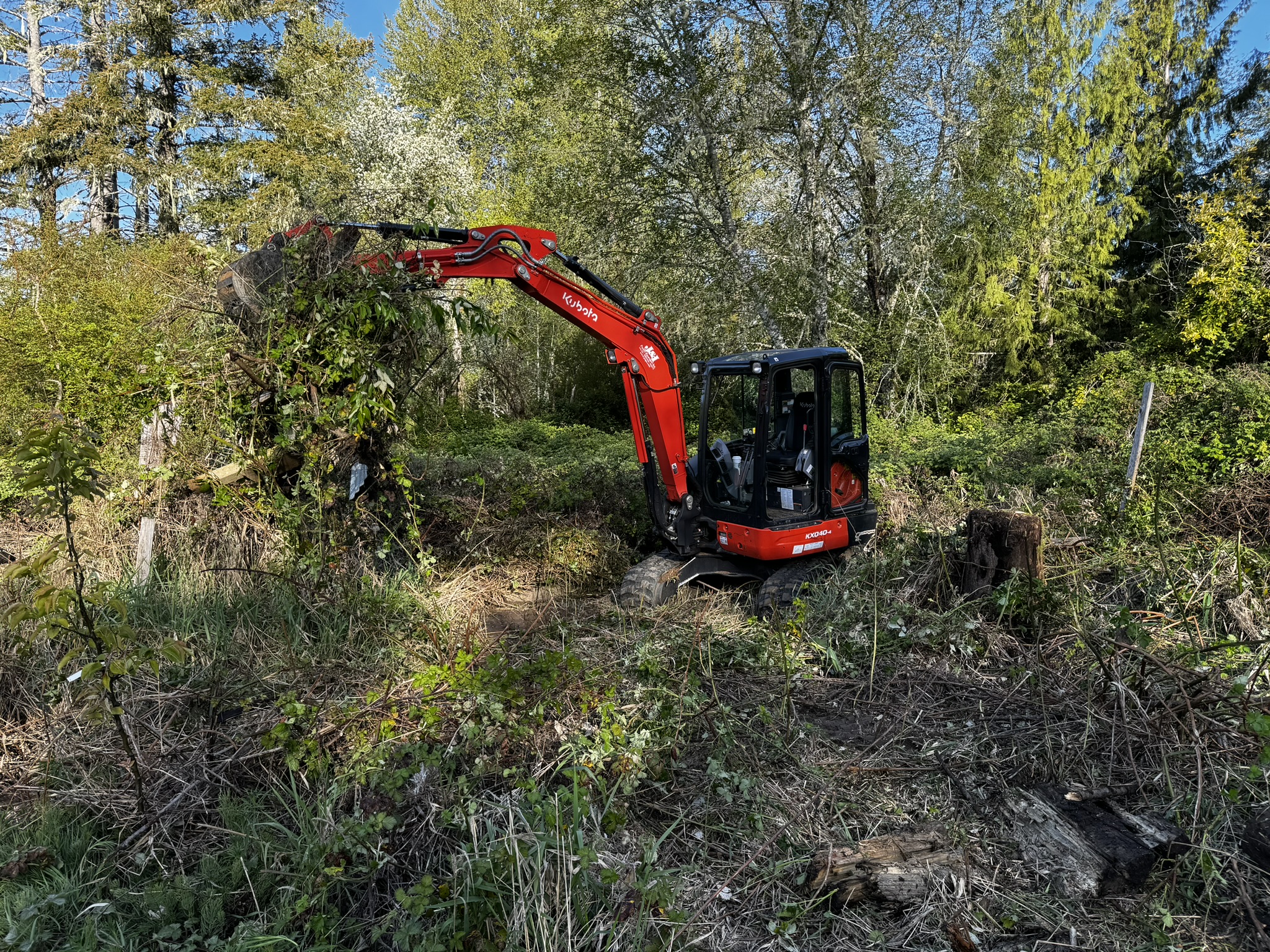 SJC Land Clearing